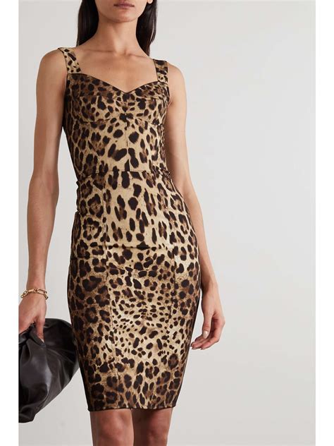 sicily leopard dolce gabbana|dolce and gabbana leopard dress.